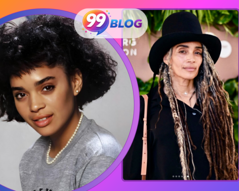 Lisa Bonet Net Worth